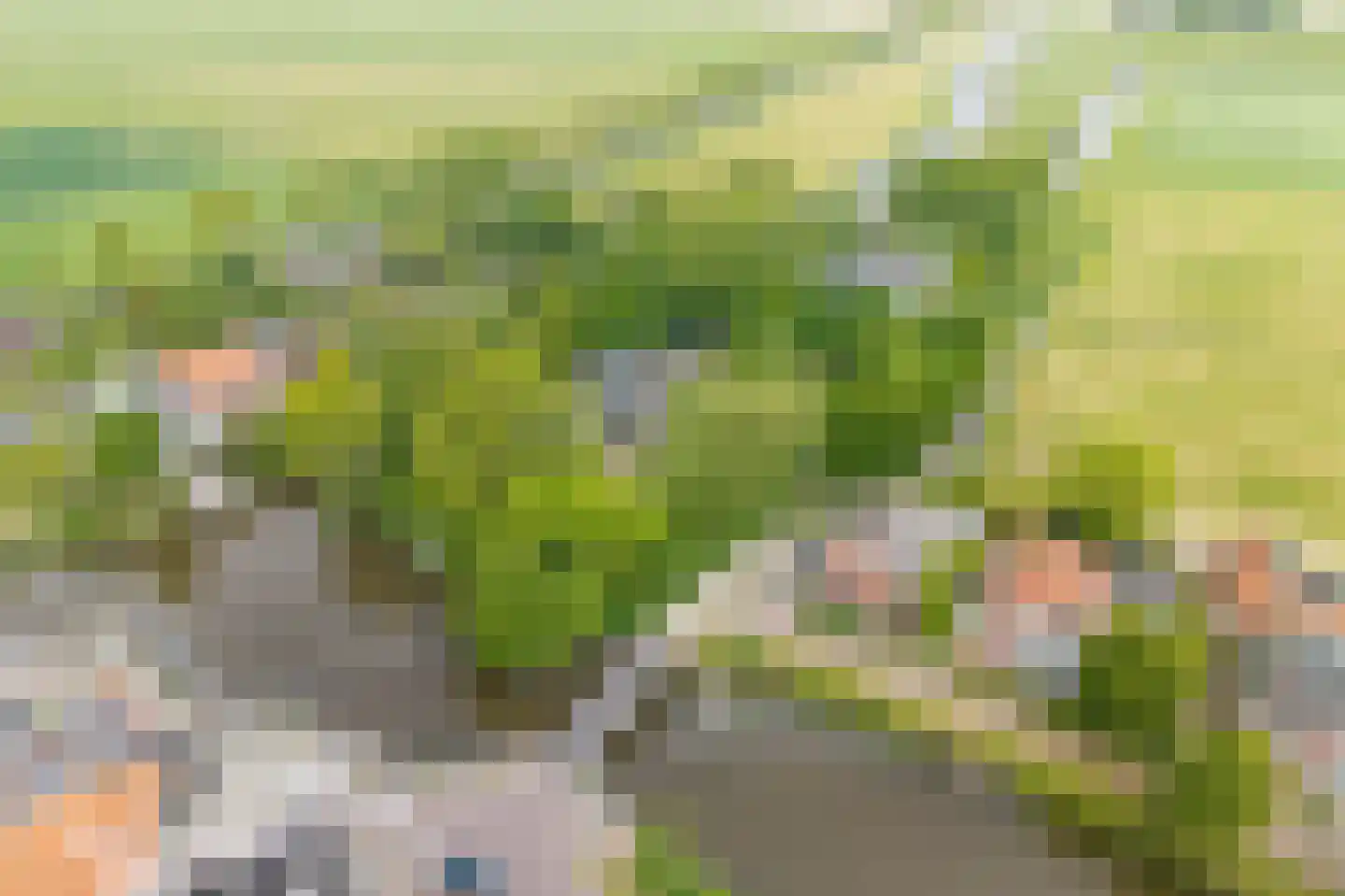 Boterdiep Oz 2 Onderdendam thumbnail 54