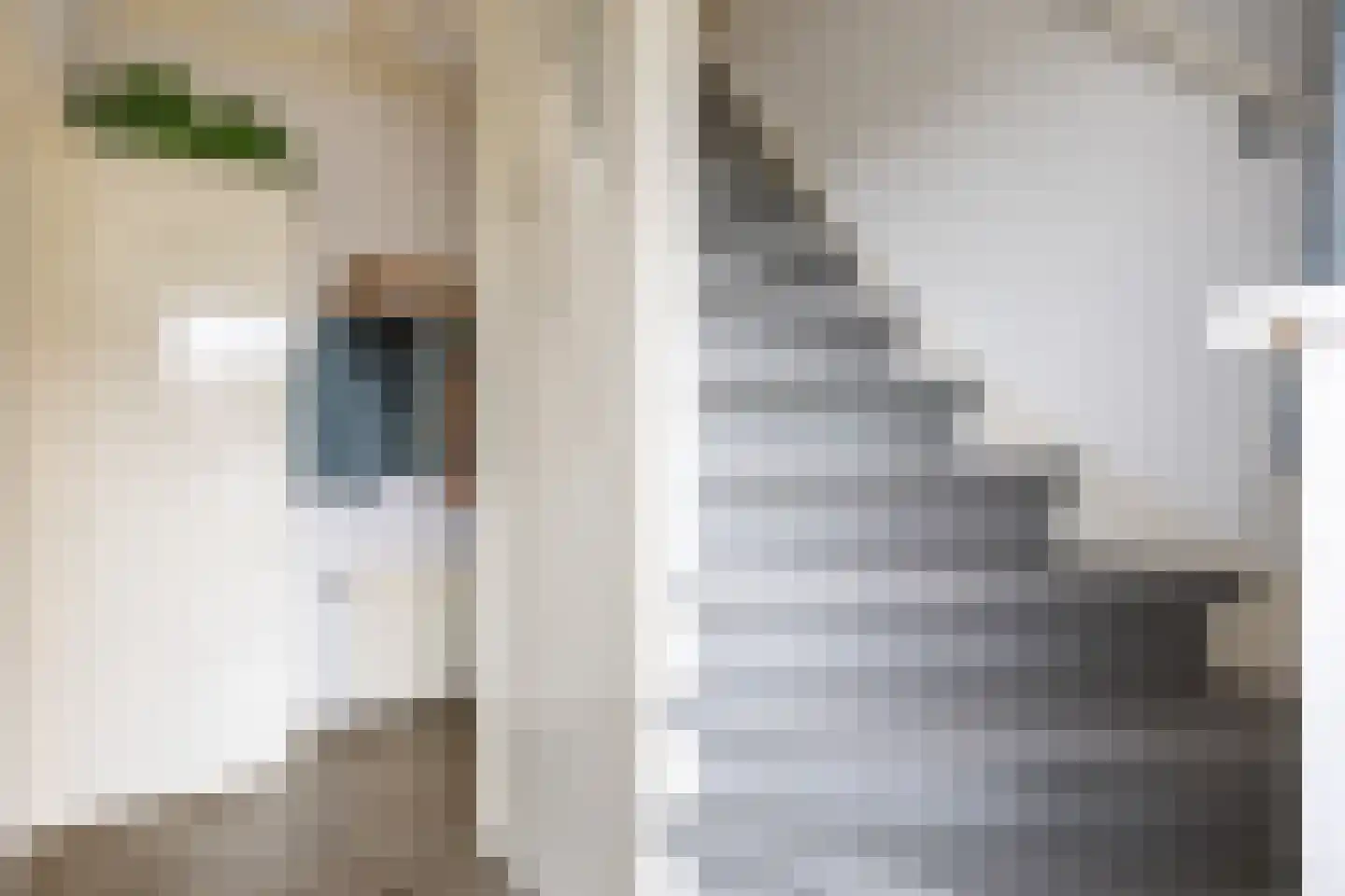 Boterdiep Oz 24 Bedum thumbnail 13