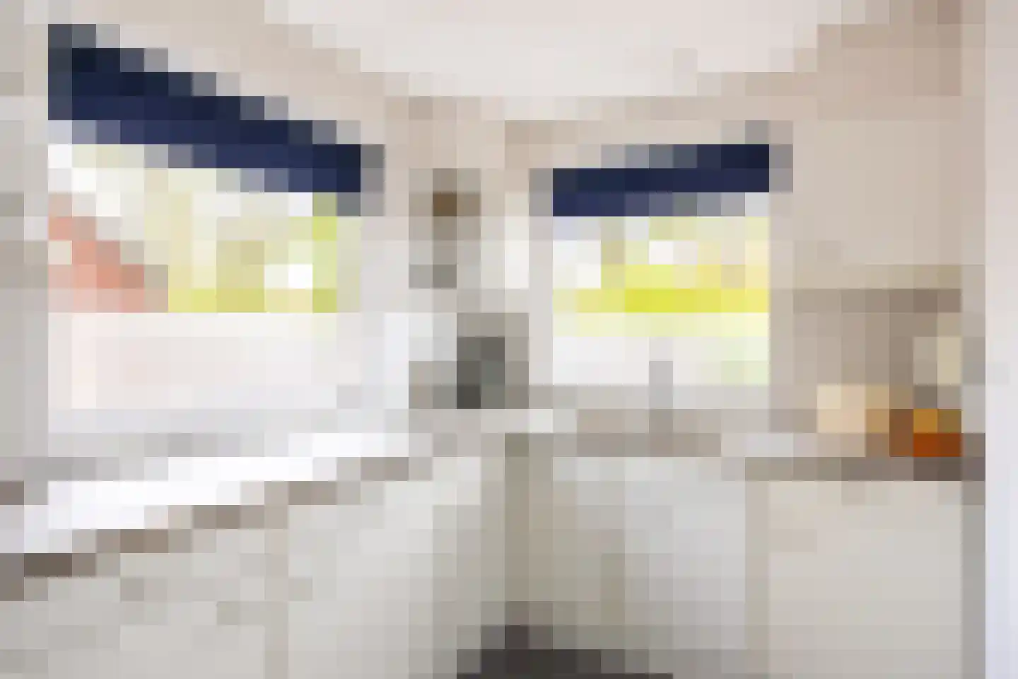 Boterdiep Oz 24 Bedum thumbnail 27