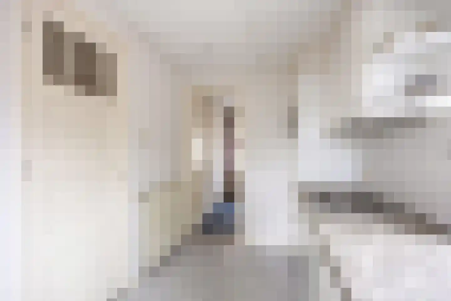 Boterdiep Oz 24 Bedum thumbnail 28