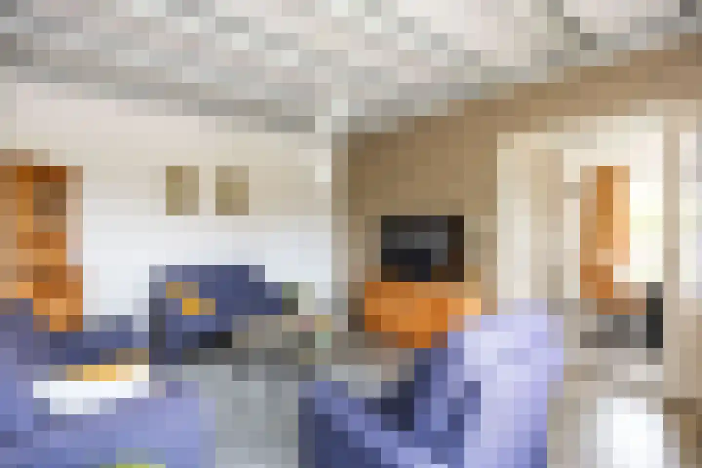 Boterdiep Oz 24 Bedum foto 3