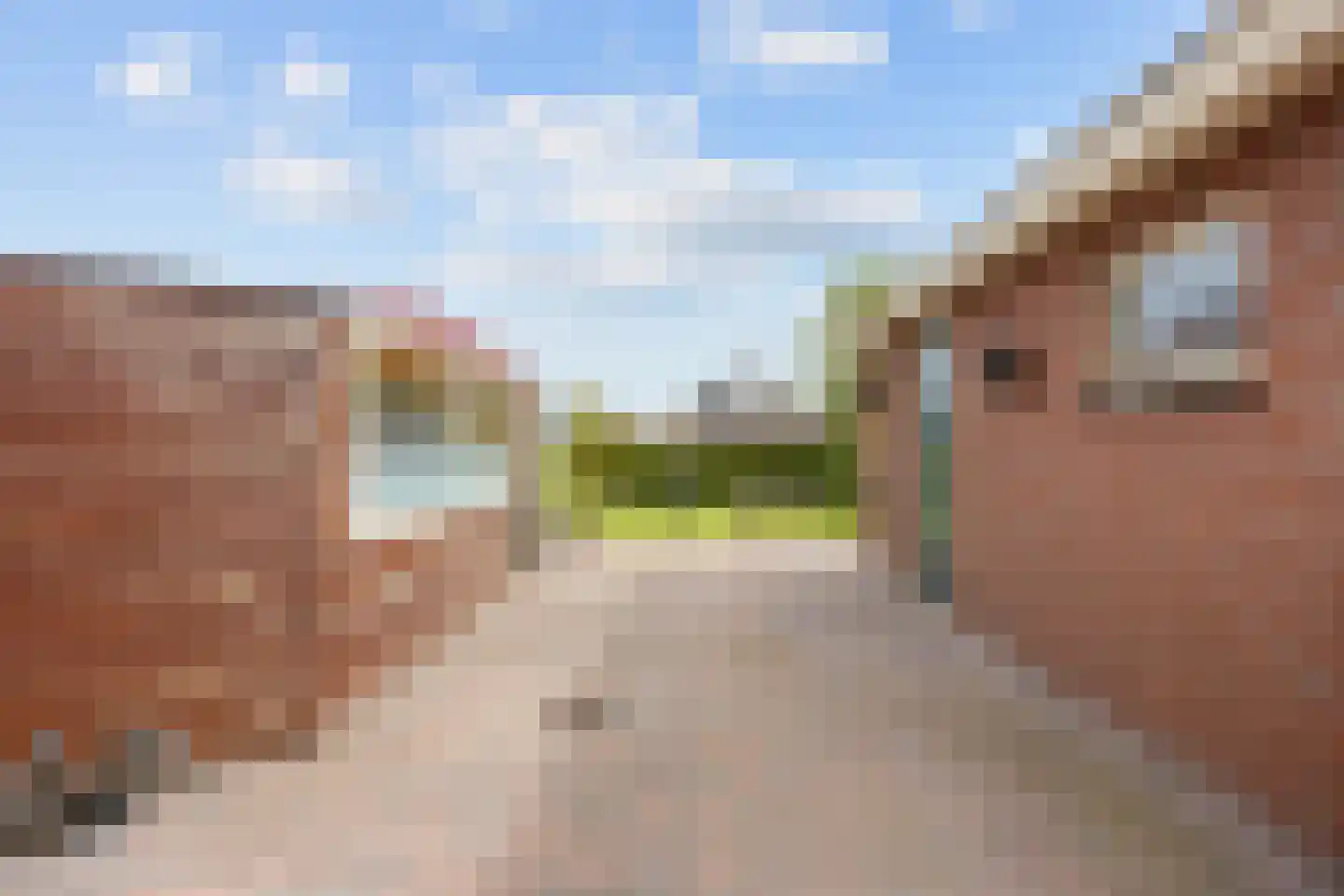 Boterdiep Oz 24 Bedum thumbnail 49