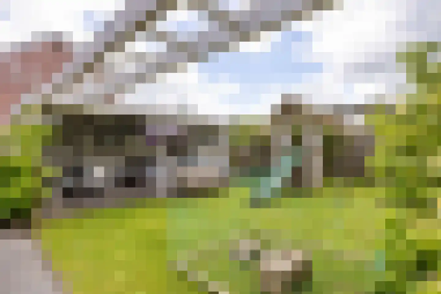 Boterdiep Oz 3 Bedum thumbnail 10