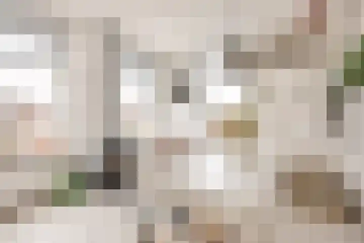 Boterdiep Oz 3 Bedum thumbnail 19