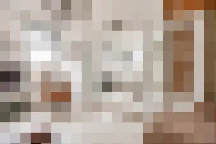 Boterdiep Oz 3 Bedum thumbnail 27