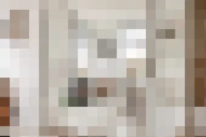 Boterdiep Oz 3 Bedum thumbnail 28