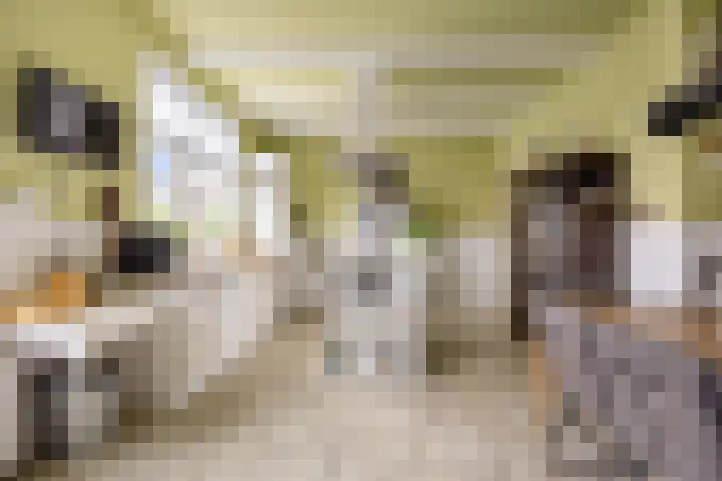 Boterdiep Oz 3 Bedum thumbnail 31