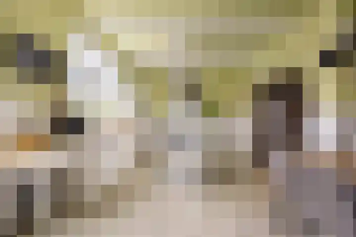 Boterdiep Oz 3 Bedum thumbnail 32