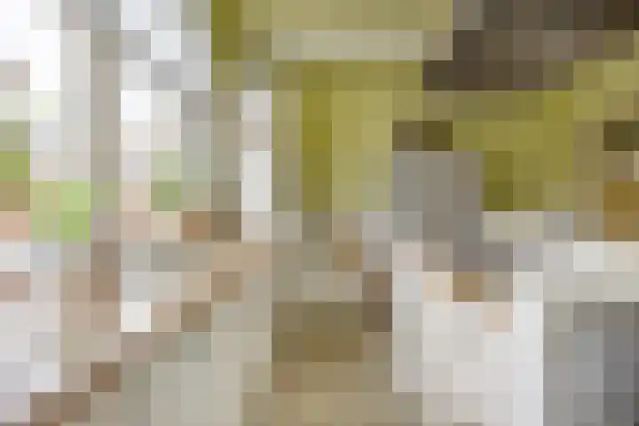 Boterdiep Oz 3 Bedum thumbnail 34