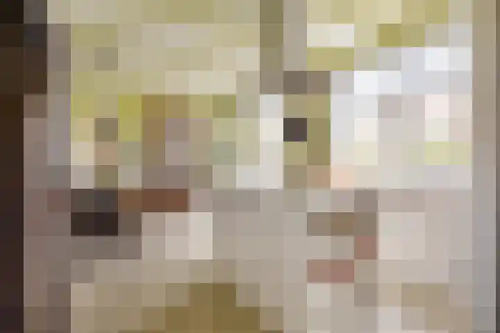 Boterdiep Oz 3 Bedum thumbnail 35