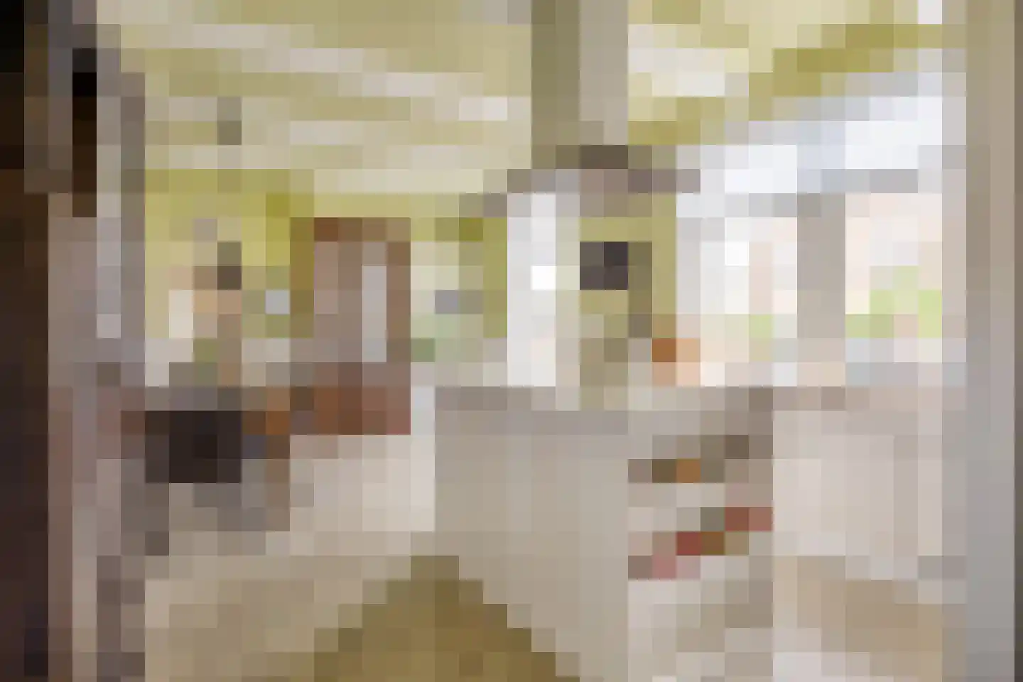 Boterdiep Oz 3 Bedum thumbnail 35