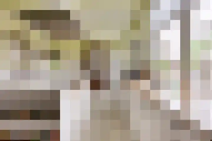 Boterdiep Oz 3 Bedum thumbnail 36