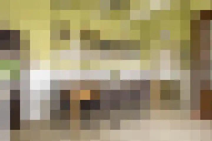 Boterdiep Oz 3 Bedum thumbnail 37
