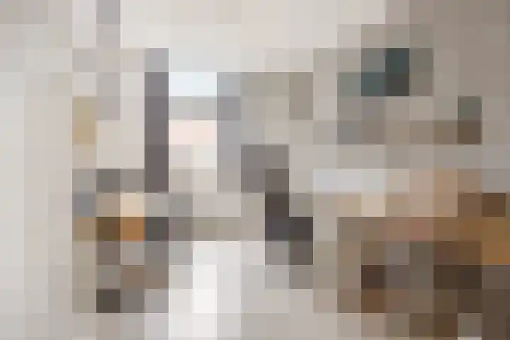 Boterdiep Oz 3 Bedum thumbnail 39