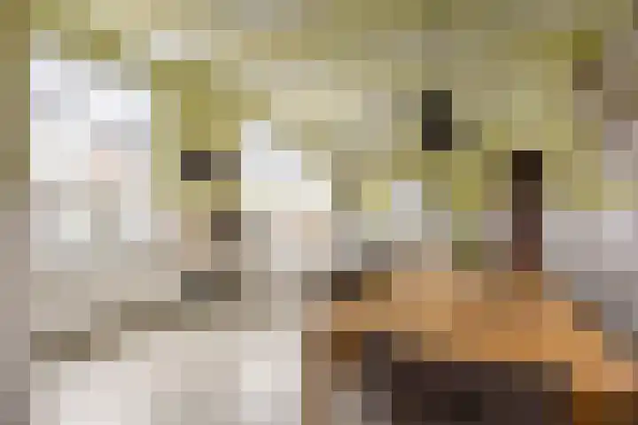 Boterdiep Oz 3 Bedum thumbnail 4