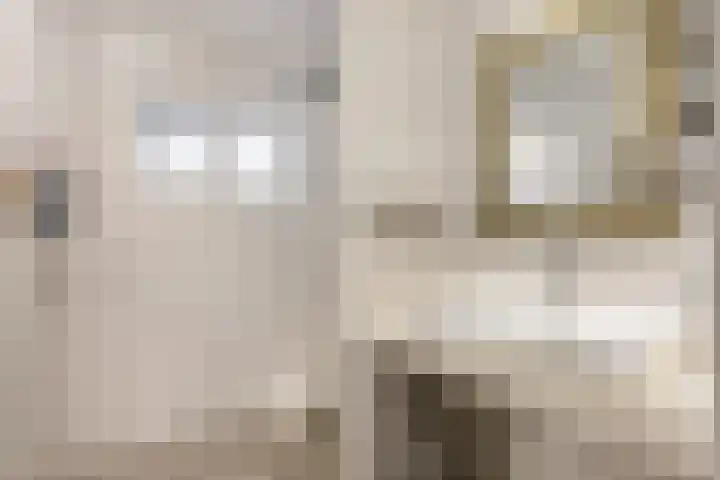 Boterdiep Oz 3 Bedum thumbnail 41
