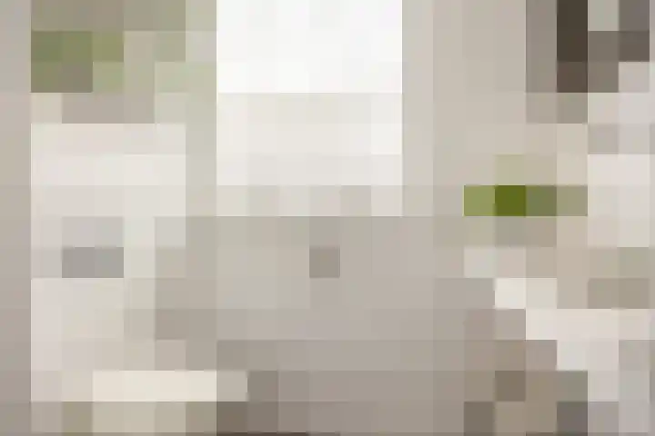 Boterdiep Oz 3 Bedum thumbnail 45