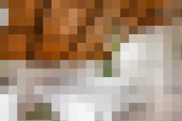 Boterdiep Oz 3 Bedum thumbnail 47