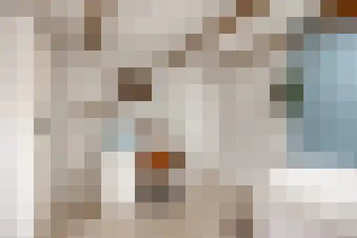 Boterdiep Oz 3 Bedum thumbnail 49