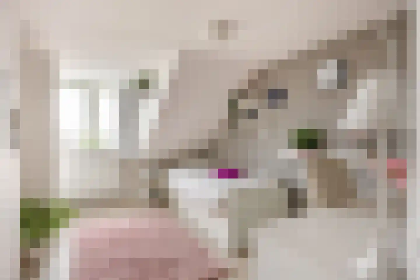 Boterdiep Oz 3 Bedum thumbnail 49