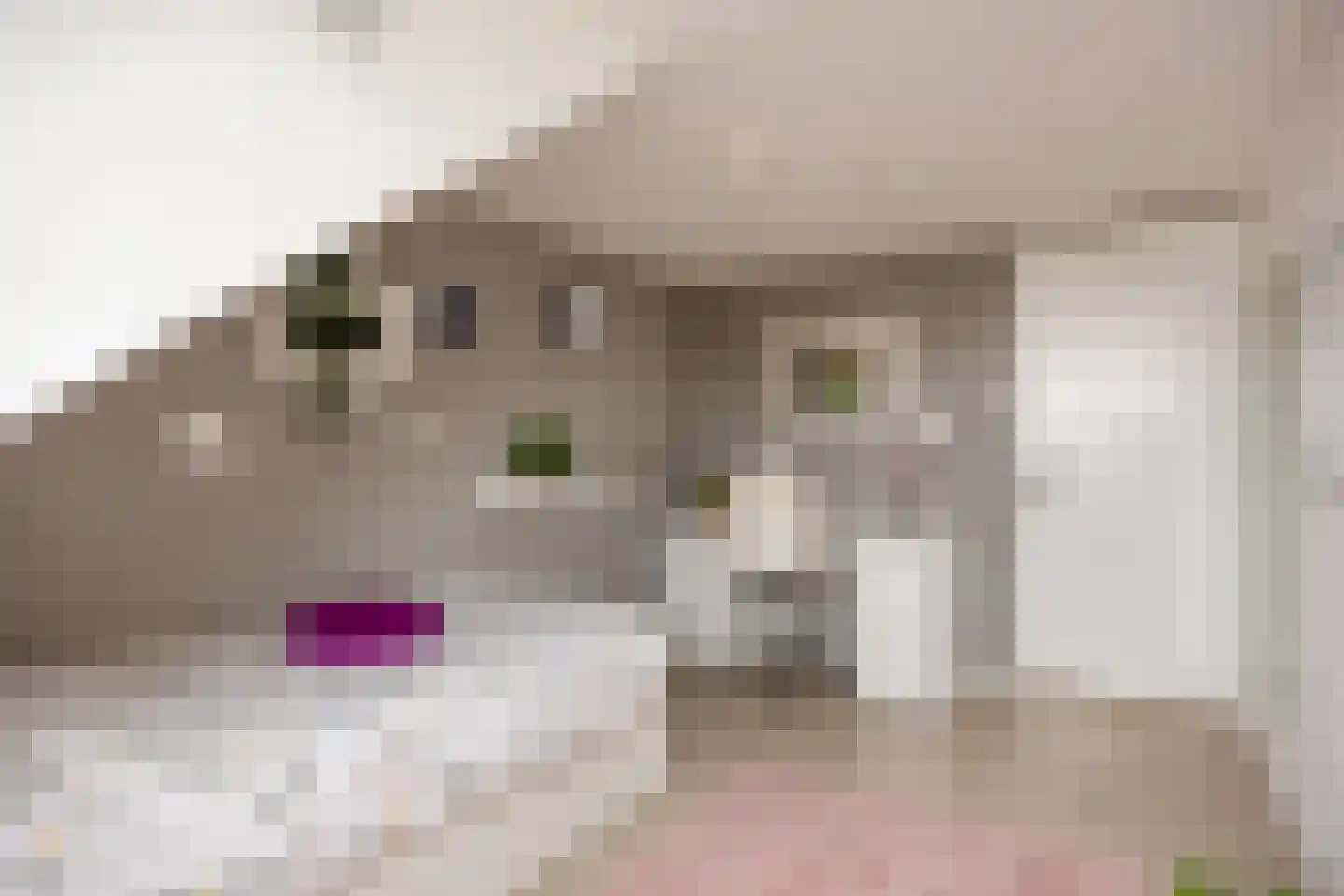 Boterdiep Oz 3 Bedum thumbnail 50