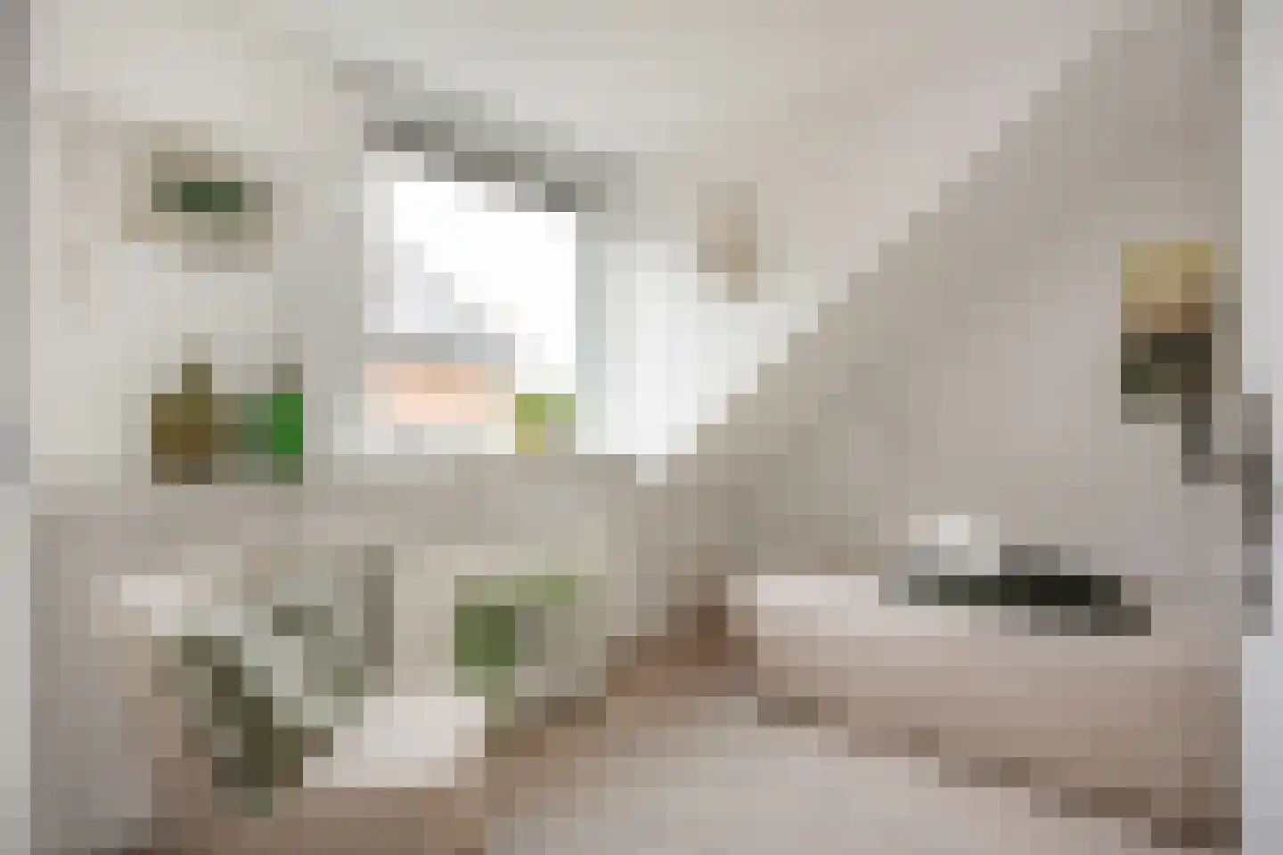 Boterdiep Oz 3 Bedum thumbnail 51