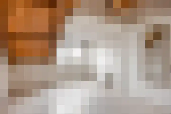 Boterdiep Oz 3 Bedum thumbnail 53