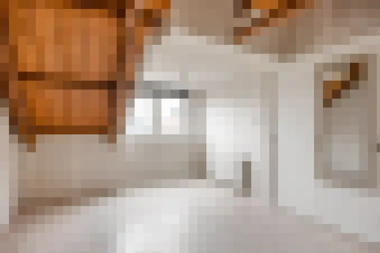 Boterdiep Oz 3 Bedum thumbnail 53