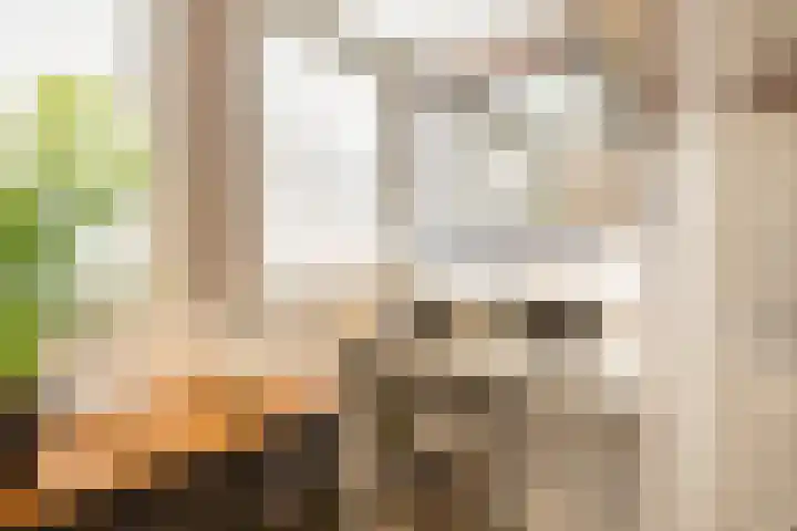 Boterdiep Oz 3 Bedum thumbnail 56