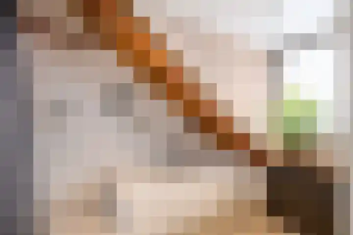 Boterdiep Oz 3 Bedum thumbnail 57
