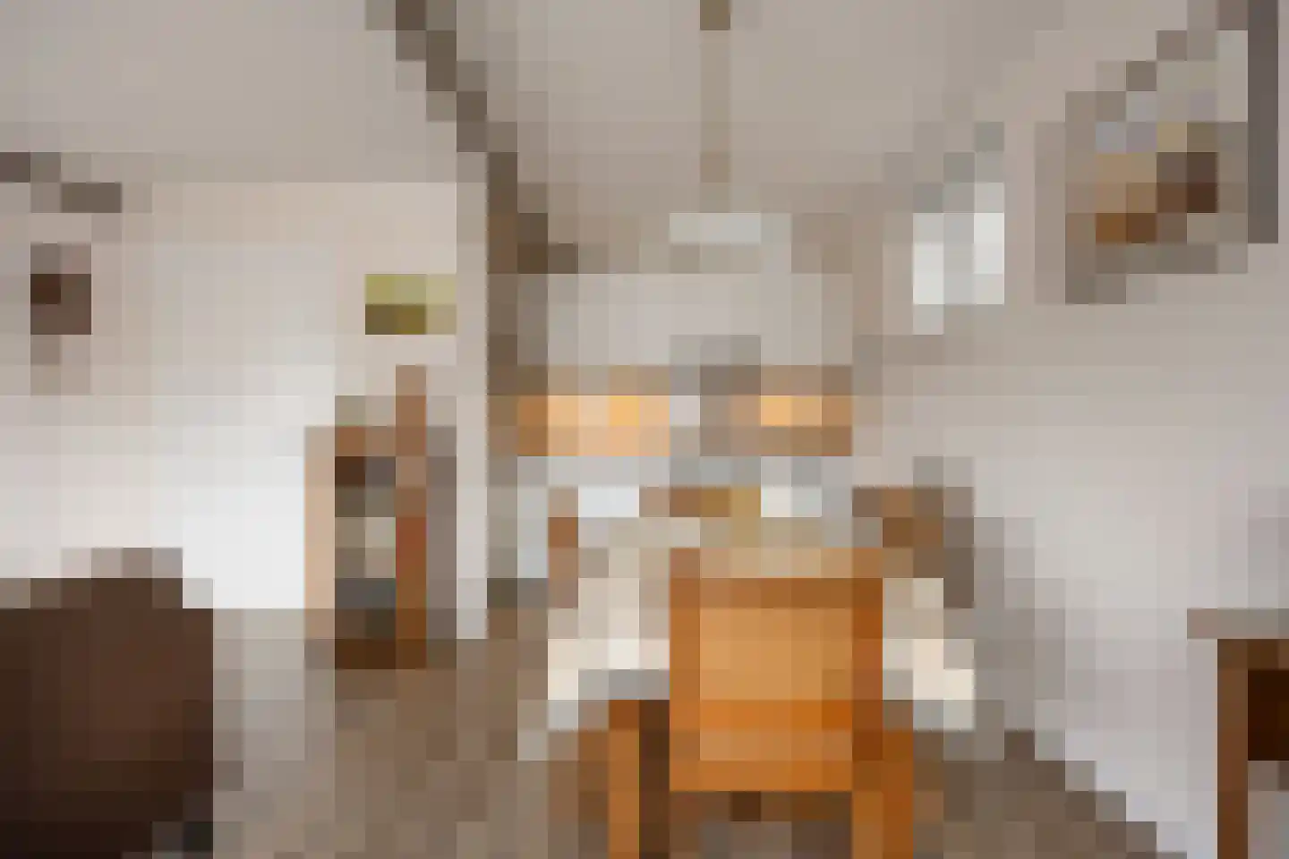 Boterdiep Oz 3 Bedum thumbnail 61