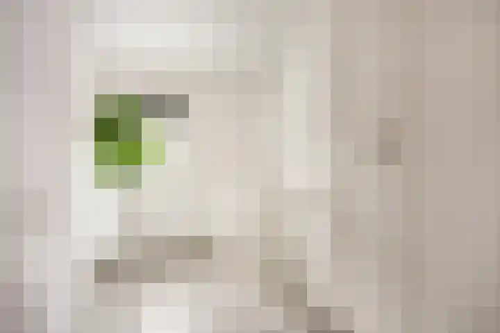 Boterdiep Oz 3 Bedum thumbnail 69