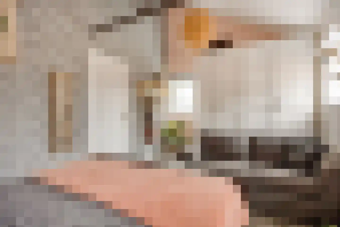 Boterdiep Oz 3 Bedum thumbnail 71