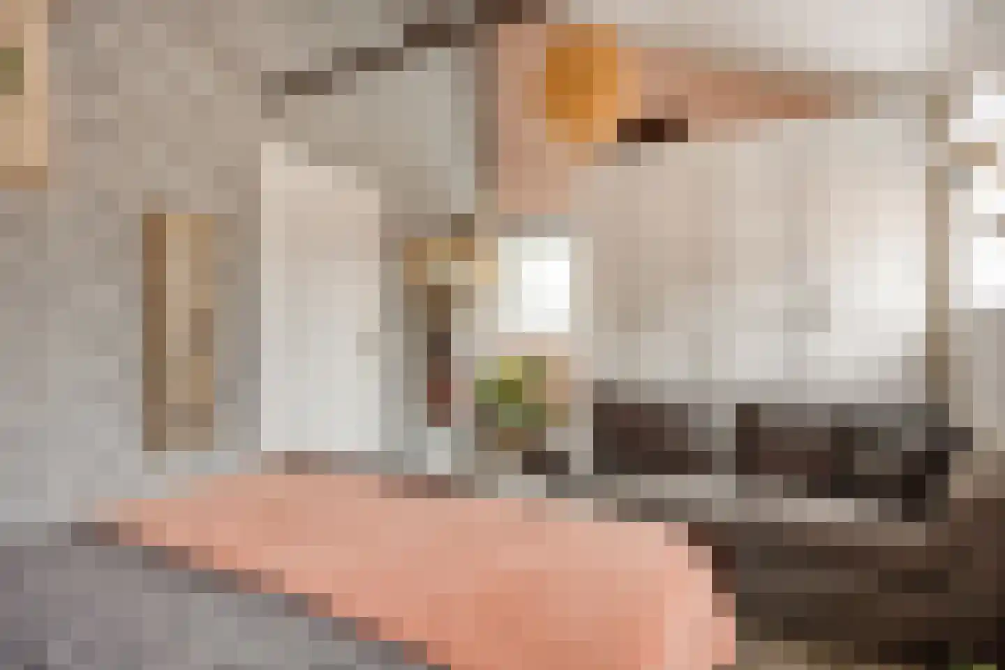 Boterdiep Oz 3 Bedum thumbnail 72