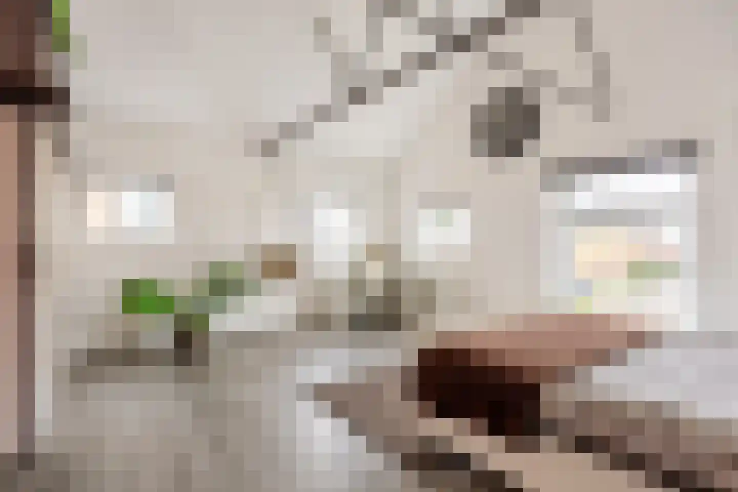 Boterdiep Oz 3 Bedum thumbnail 72