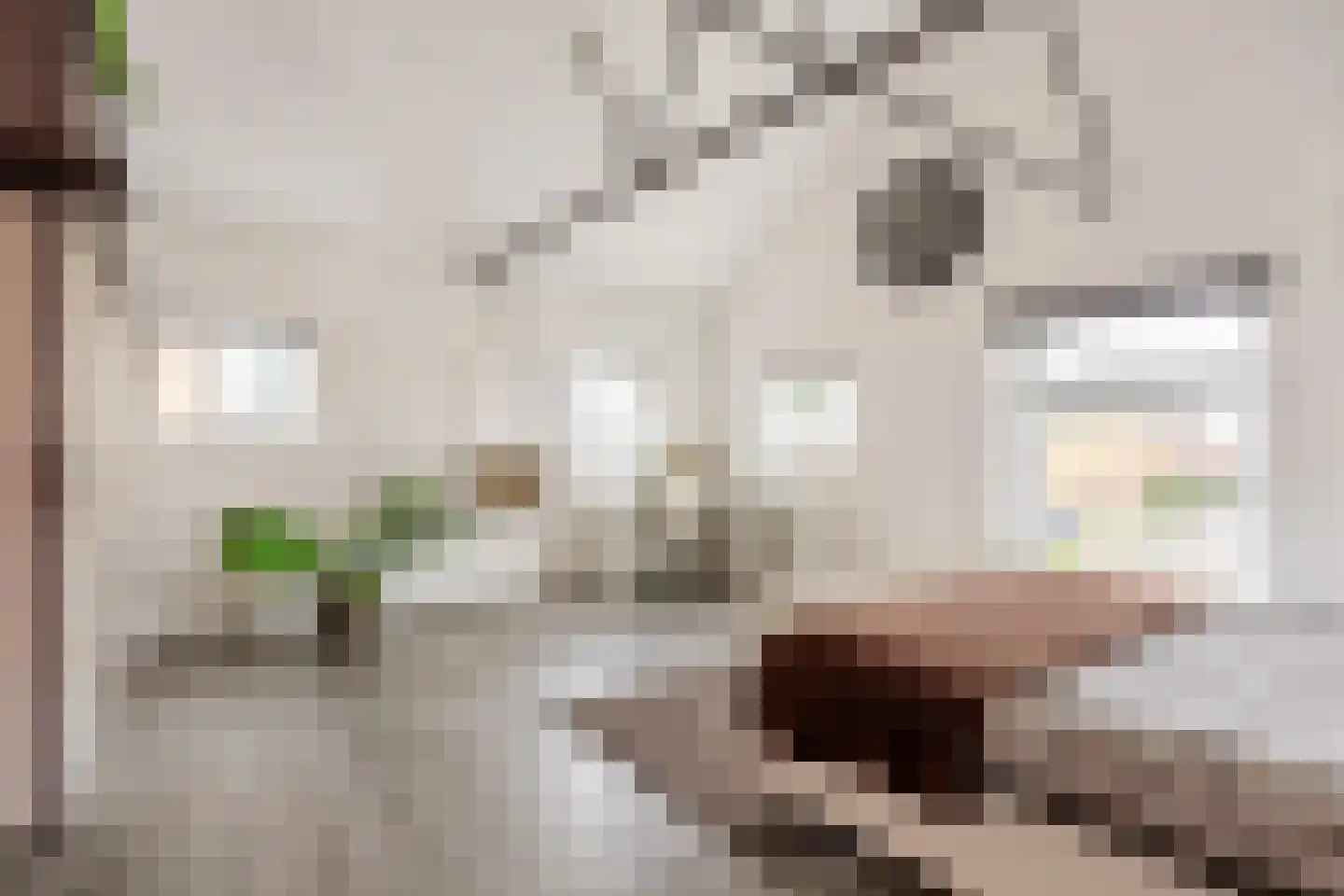 Boterdiep Oz 3 Bedum thumbnail 73