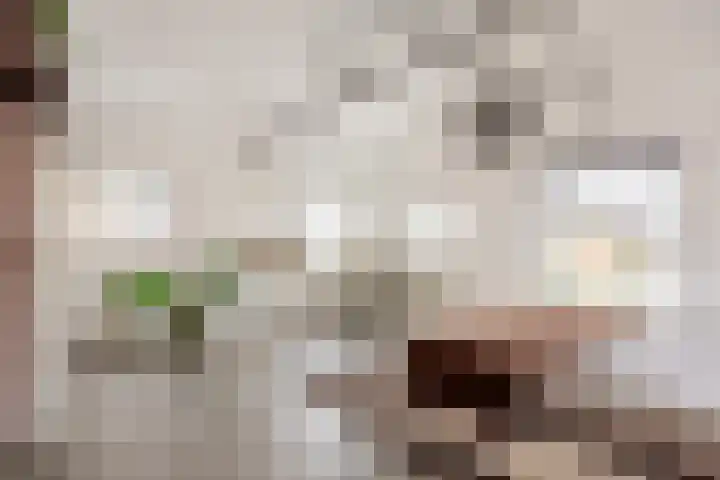 Boterdiep Oz 3 Bedum thumbnail 73