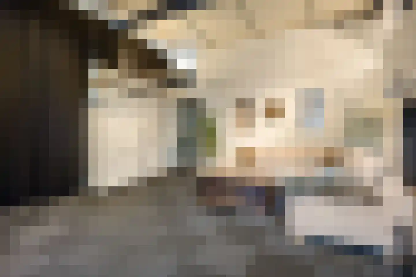 Boterdiep Oz 3 Bedum thumbnail 76