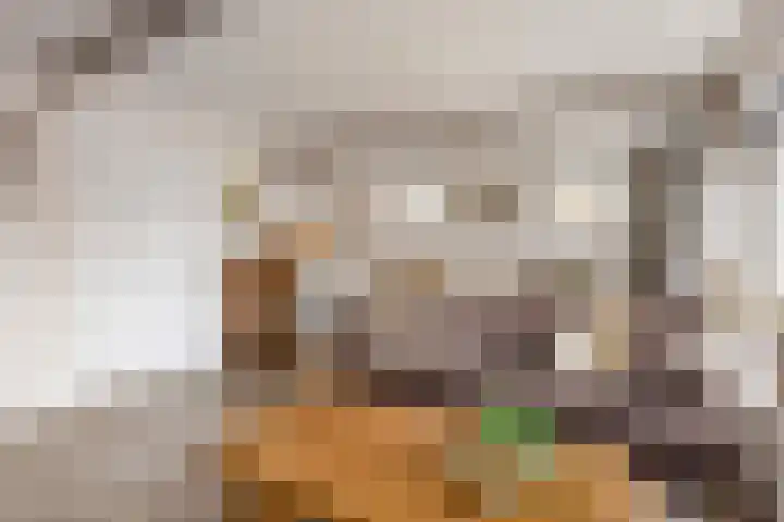 Boterdiep Oz 3 Bedum thumbnail 8
