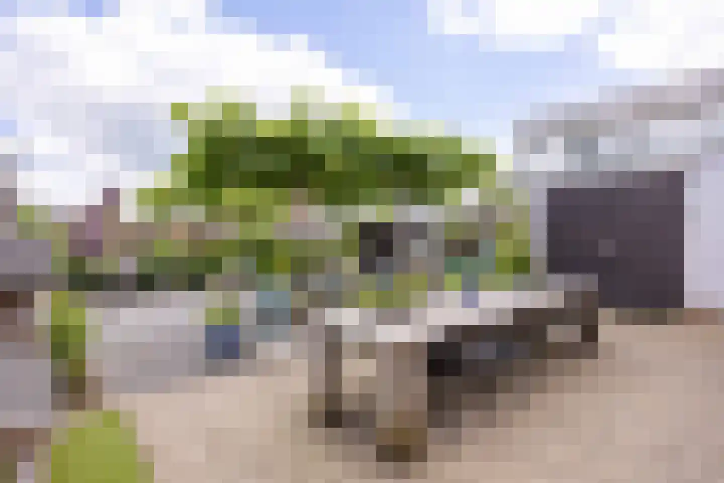 Boterdiep Oz 3 Bedum thumbnail 84