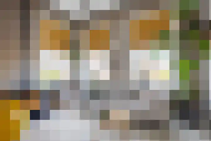 Boterdiep Oz 7 Bedum thumbnail 15