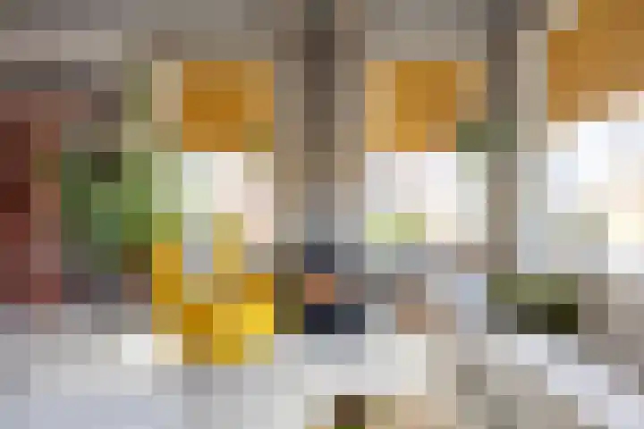 Boterdiep Oz 7 Bedum thumbnail 16