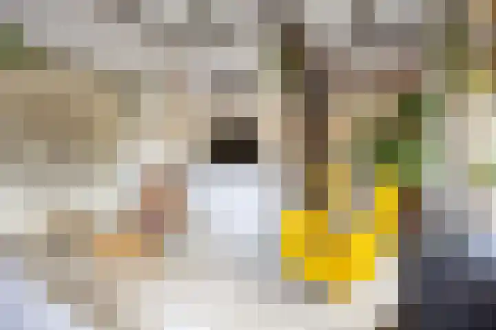 Boterdiep Oz 7 Bedum thumbnail 18
