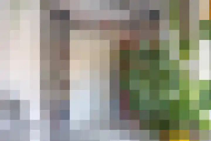 Boterdiep Oz 7 Bedum thumbnail 22
