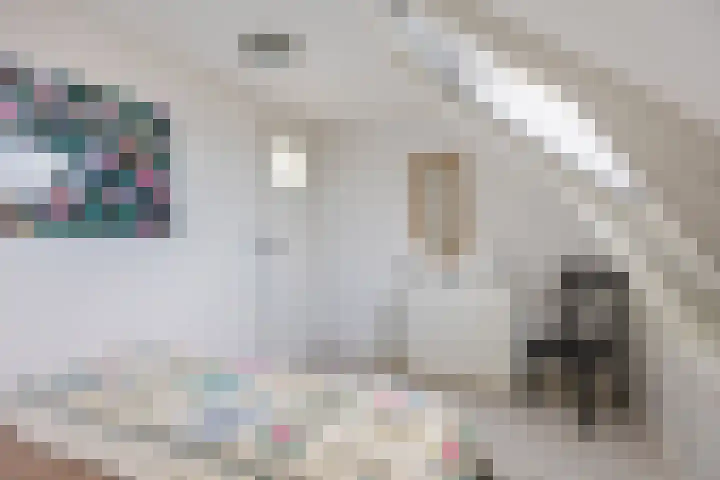 Boterdiep Oz 7 Bedum thumbnail 53