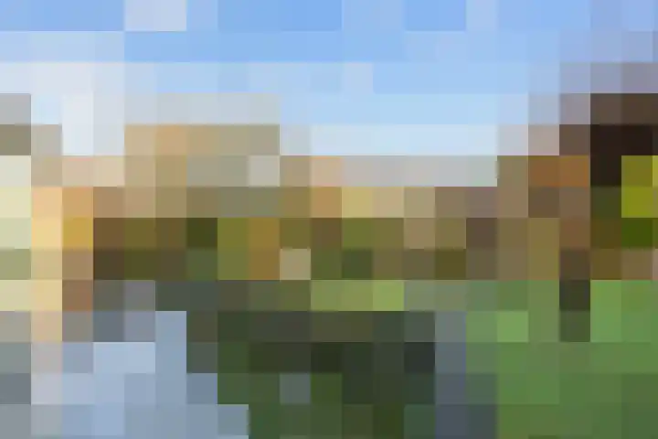 Boterdiep Oz 7 Bedum thumbnail 58