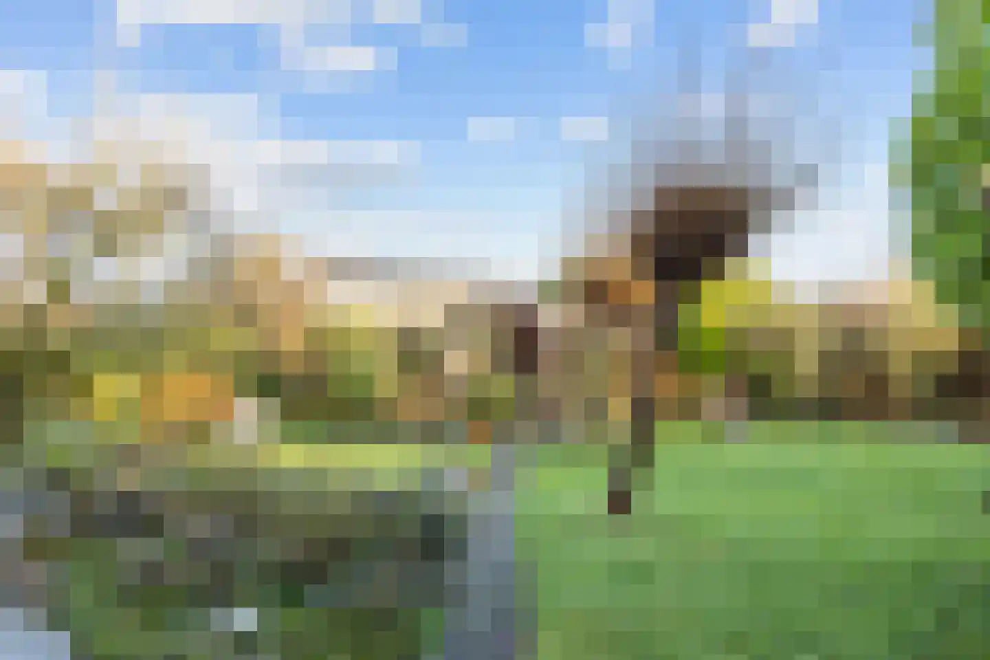 Boterdiep Oz 7 Bedum thumbnail 59