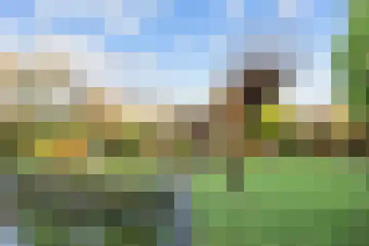 Boterdiep Oz 7 Bedum thumbnail 59