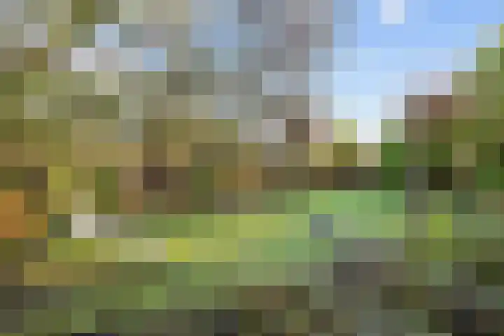 Boterdiep Oz 7 Bedum thumbnail 60