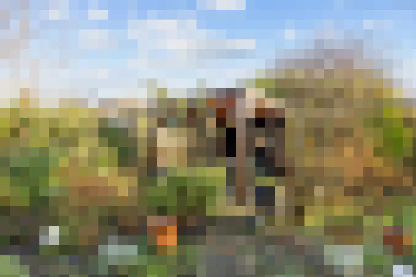 Boterdiep Oz 7 Bedum thumbnail 61